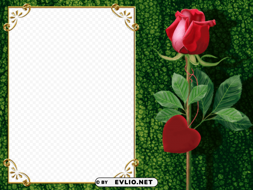  greenframe with rose and heart Free PNG images with transparent background