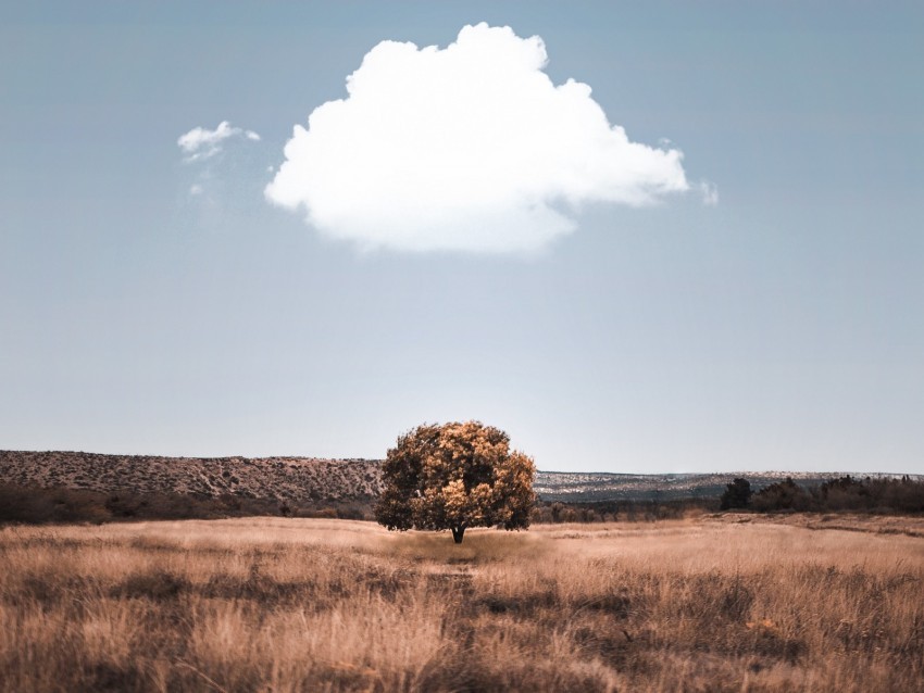 tree cloud field grass PNG images with no background assortment 4k wallpaper