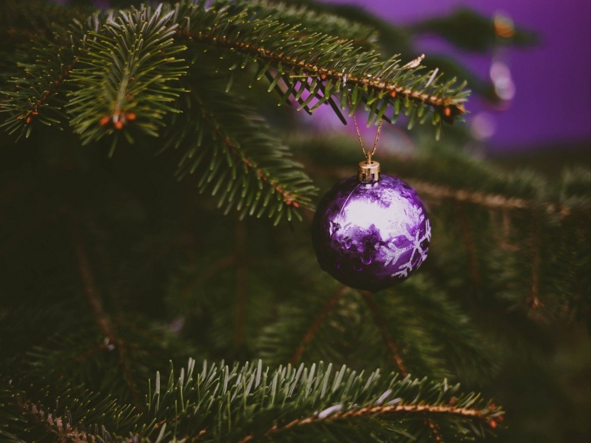 tree decoration ball purple holiday Transparent PNG images with high resolution