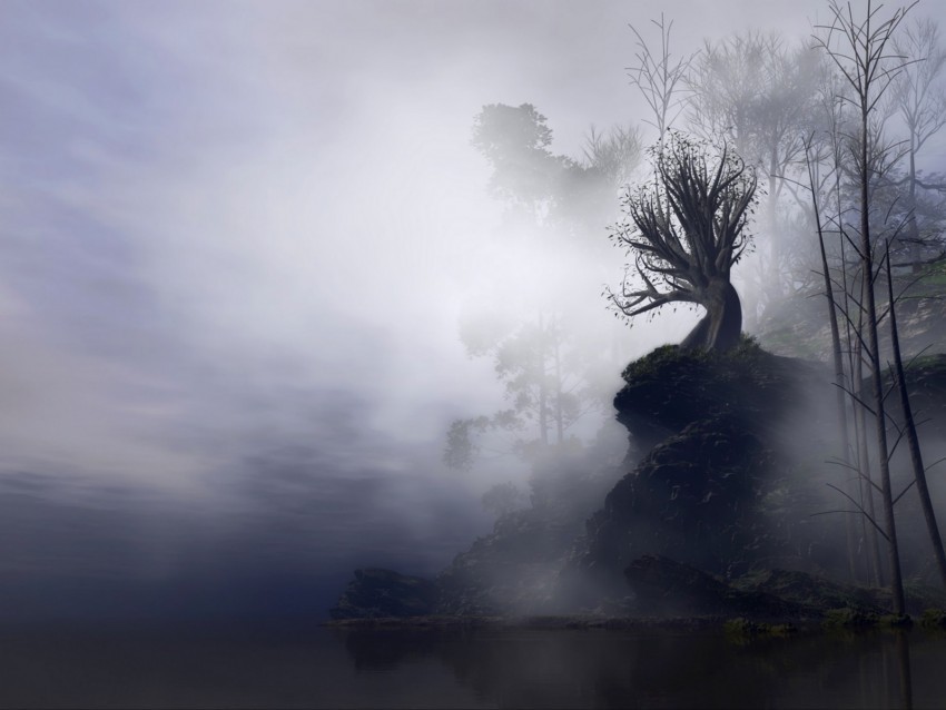 tree fog art rock cliff branches gloomy PNG picture 4k wallpaper