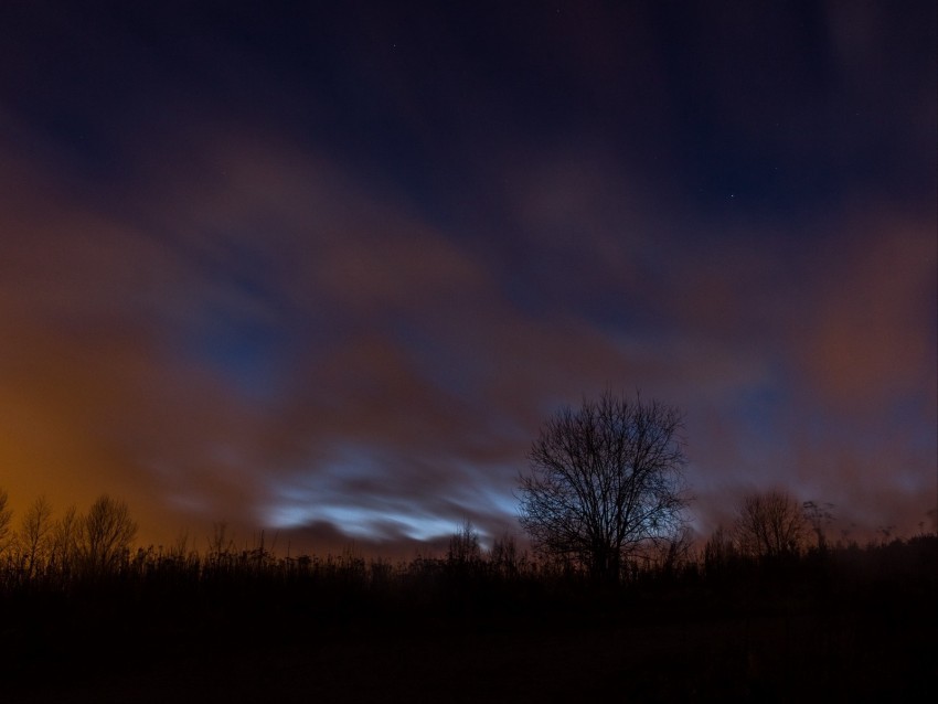 tree fog clouds night starry sky High-resolution transparent PNG images variety 4k wallpaper