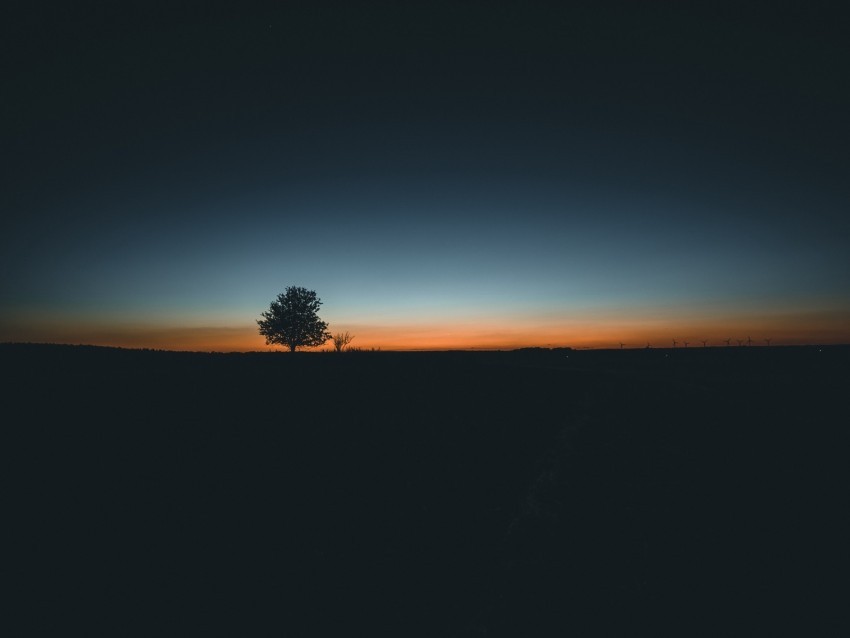 tree horizon minimalism sunset HighQuality Transparent PNG Isolated Artwork 4k wallpaper