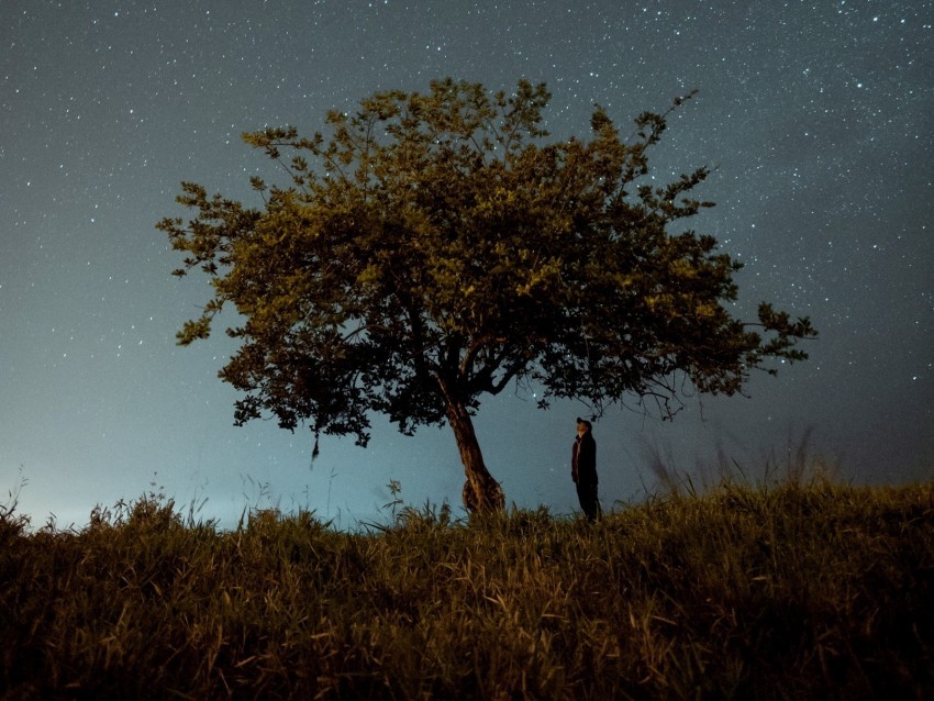 tree man night starry sky dark PNG images for banners