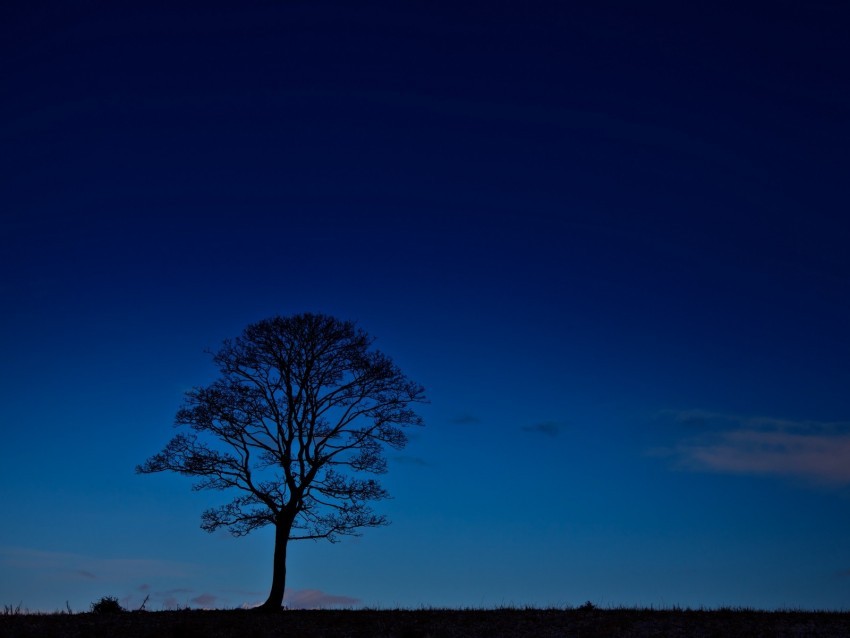 tree night horizon sky dark PNG images with transparent canvas assortment