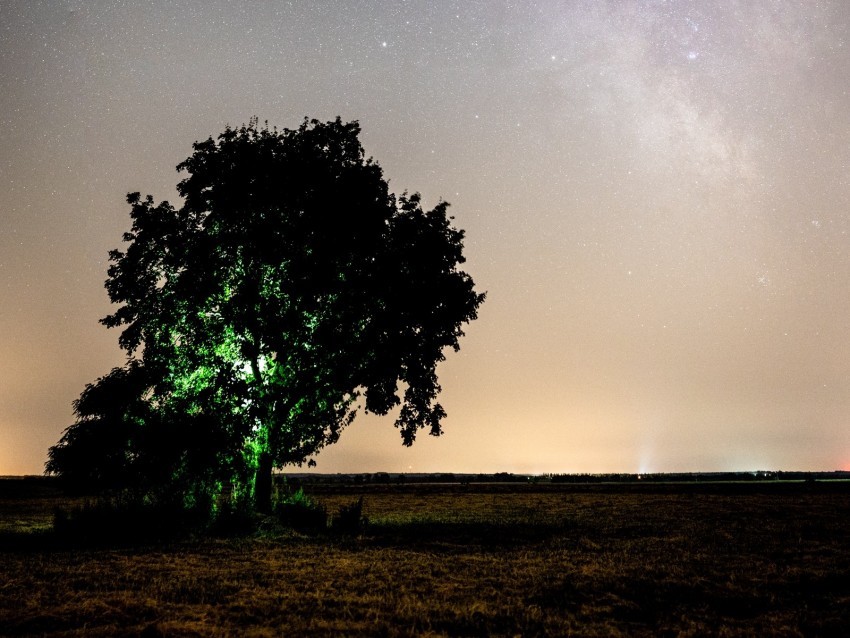 tree night starry sky plain landscape Isolated Graphic with Transparent Background PNG
