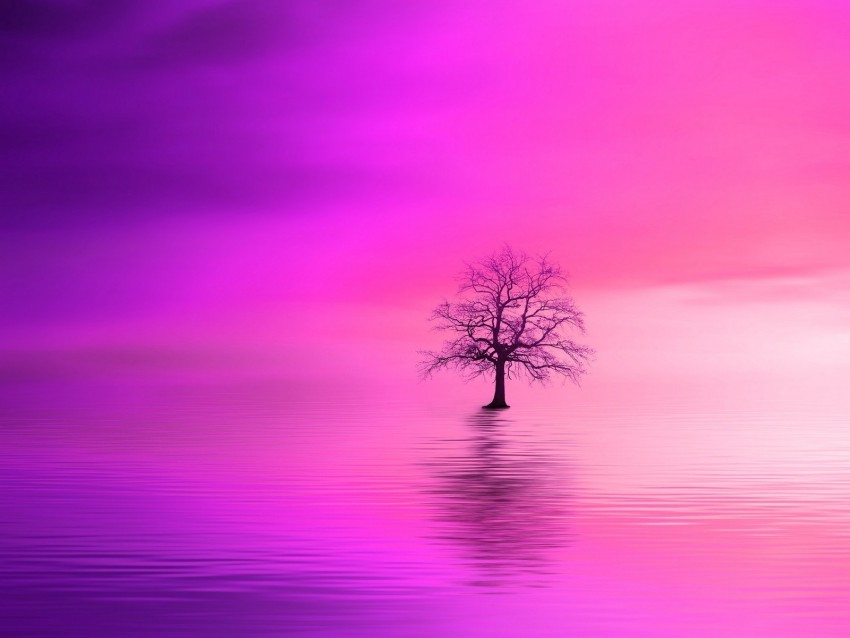 tree pink horizon lonely HighQuality Transparent PNG Isolated Art