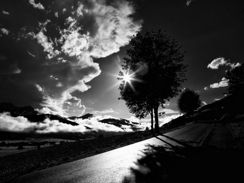 tree road bw sunset clouds Isolated Design in Transparent Background PNG