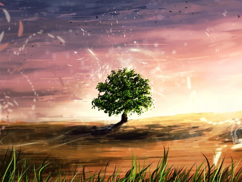 tree shine sparks art landscape glade Isolated Element on Transparent PNG