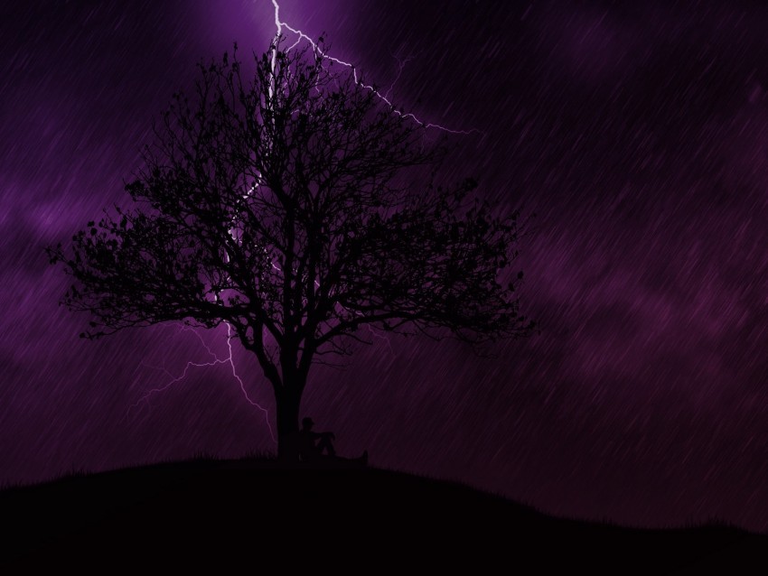 tree silhouette lightning night rain loneliness Transparent PNG Isolated Object 4k wallpaper