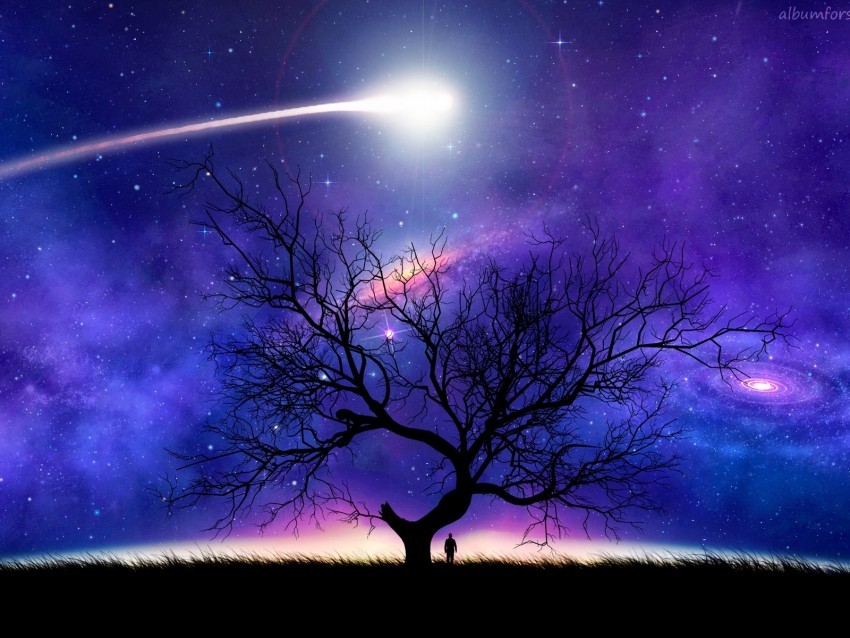 tree silhouette space night starry sky comet Transparent Background PNG Object Isolation