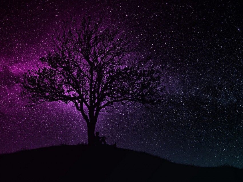 tree silhouette starry sky dark art Clean Background Isolated PNG Design