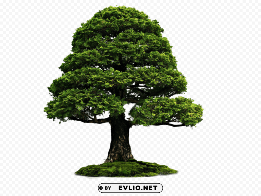 PNG image of tree with grass PNG for t-shirt designs with a clear background - Image ID a0391e32