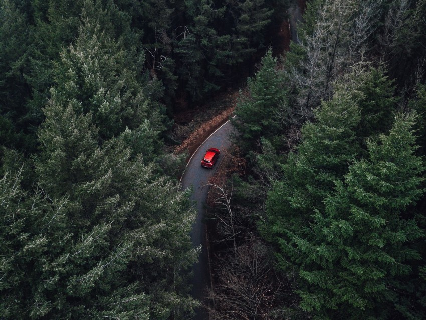 trees aerial view car forest fog PNG pictures with alpha transparency 4k wallpaper