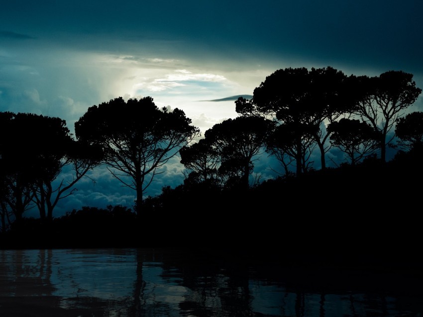 trees clouds night reflection landscape PNG for social media