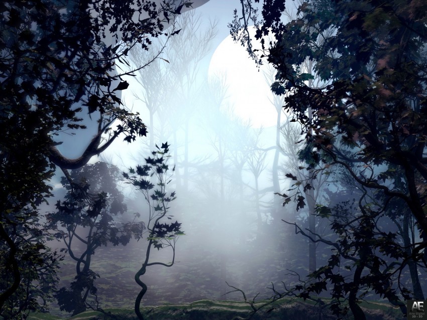 trees fog art forest PNG files with no background assortment