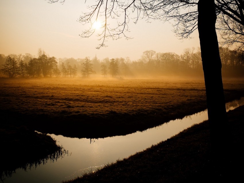 trees fog channel dawn PNG images with no limitations