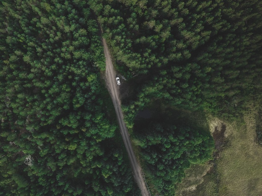 trees forest aerial view road movement PNG images for merchandise