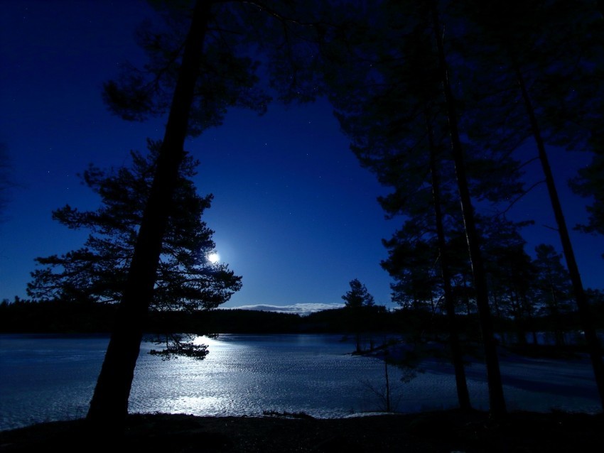 trees night lake distance sky norway Isolated Design Element in PNG Format