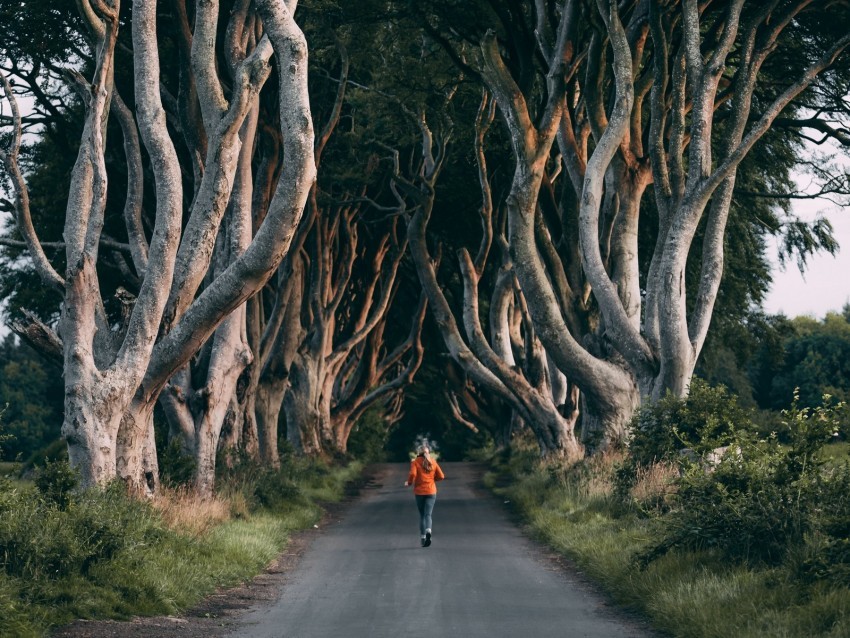 trees path person running alley Transparent PNG Isolated Object Design 4k wallpaper