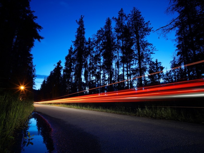 trees road long exposure night PNG images with alpha channel diverse selection 4k wallpaper