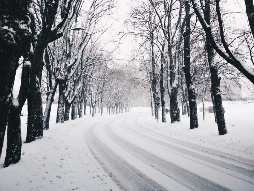 trees road turn winter snow PNG Graphic Isolated with Clarity