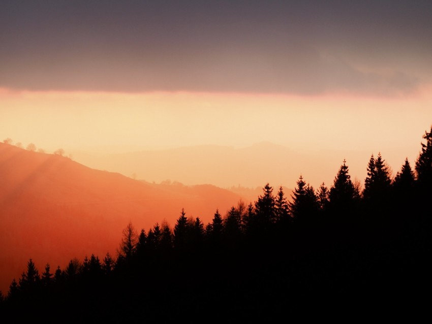 trees silhouettes fog sunset sky slope PNG with no bg
