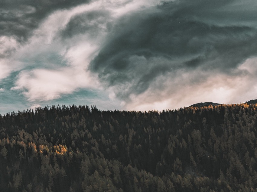 trees sky clouds forest aerial view PNG for online use