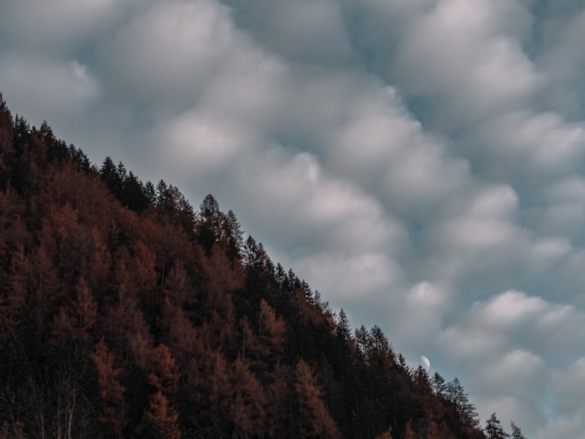 trees sky clouds hill evening PNG picture 4k wallpaper