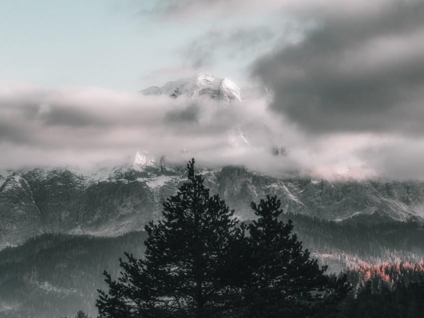 trees sky mountains clouds fog PNG Isolated Subject with Transparency 4k wallpaper