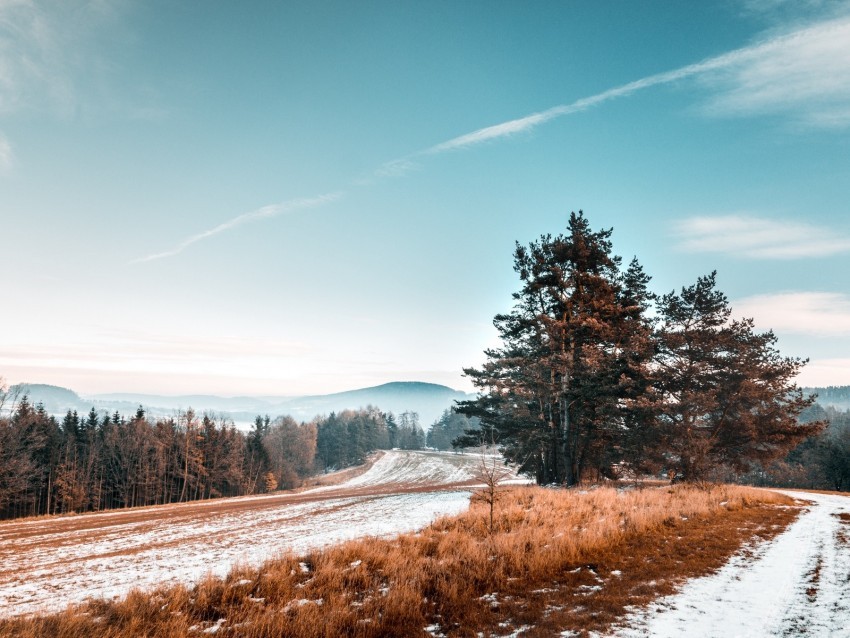 trees snow grass road sky landscape Clear background PNGs 4k wallpaper