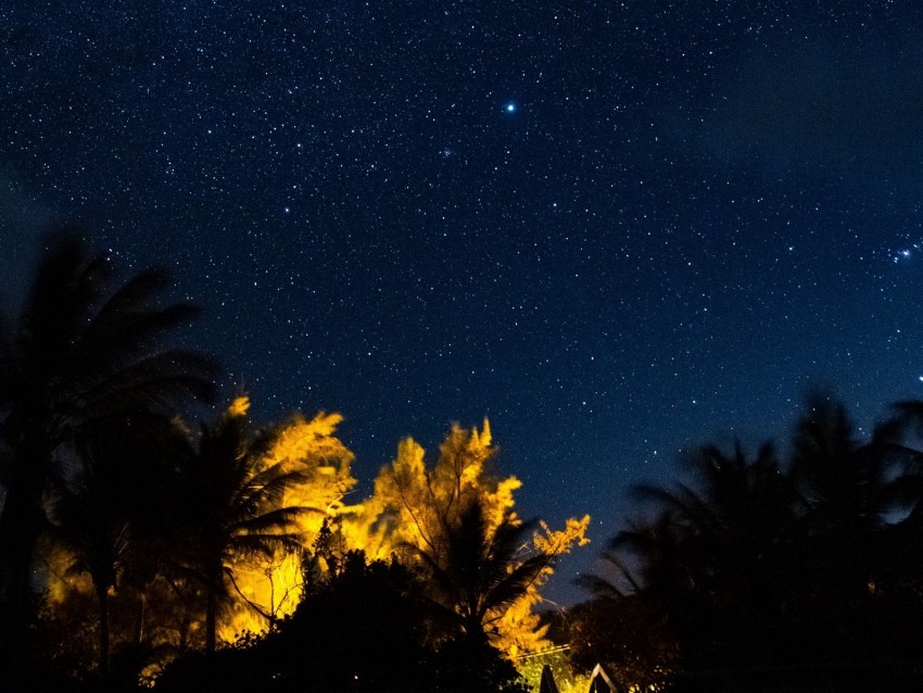 trees starry sky night stars dark PNG Image with Transparent Isolated Design 4k wallpaper