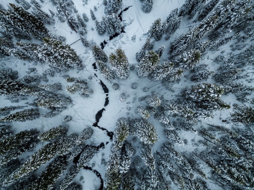 trees winter aerial view snow cranny PNG images with alpha channel diverse selection