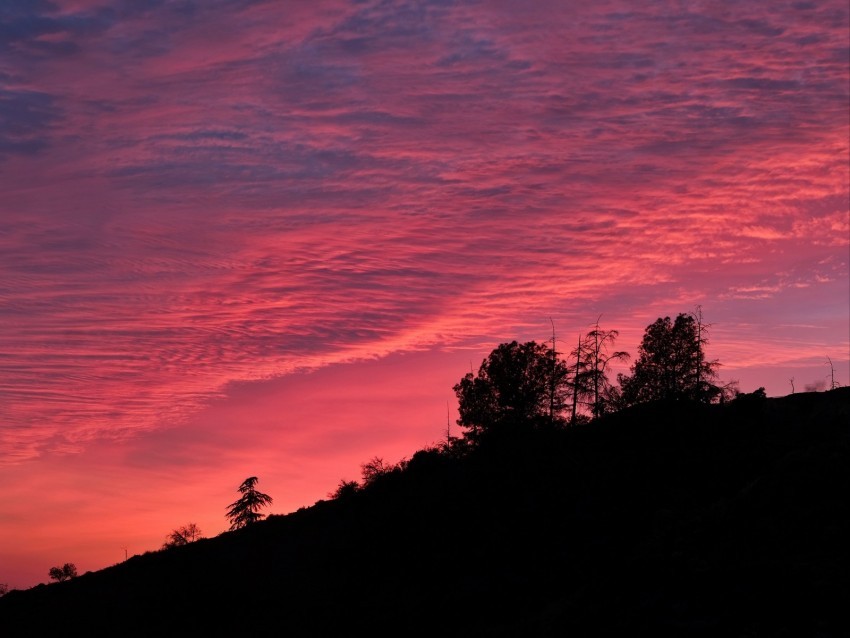 twilight trees outlines hill sky clouds PNG free download 4k wallpaper