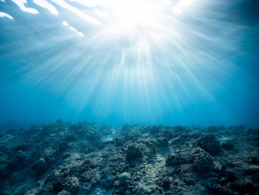 underwater world ocean corals light PNG for web design