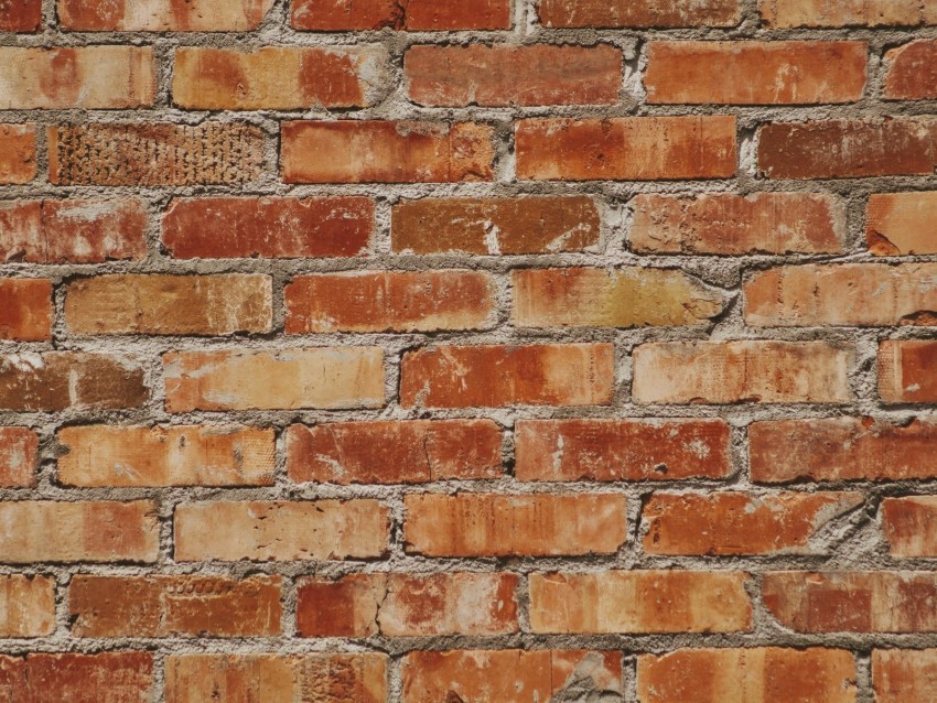 wall bricks texture surface brick Clean Background Isolated PNG Illustration