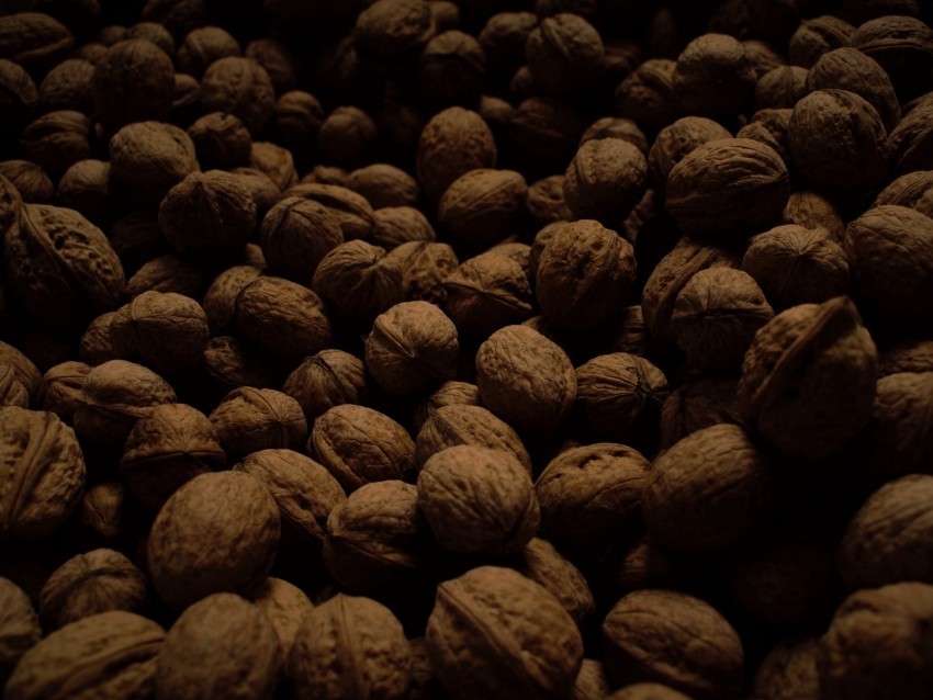 walnuts dark many nuts harvest PNG pictures with no background required 4k wallpaper