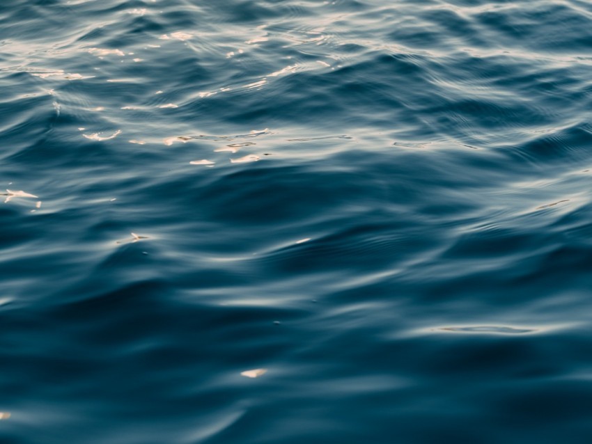 water ripples sea blur Transparent Background PNG Object Isolation