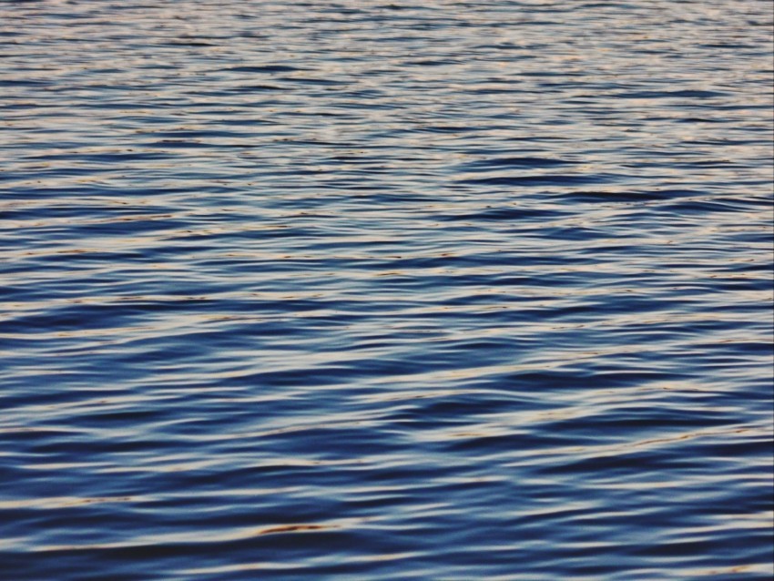 water surface ripples waves PNG with Clear Isolation on Transparent Background