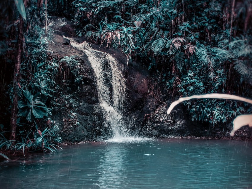waterfall stream forest jungle tropical spray stones Isolated Element with Clear Background PNG