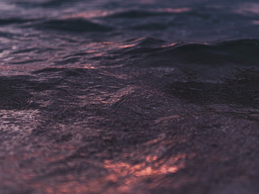 waves ripples sea water sunset Isolated Element with Transparent PNG Background