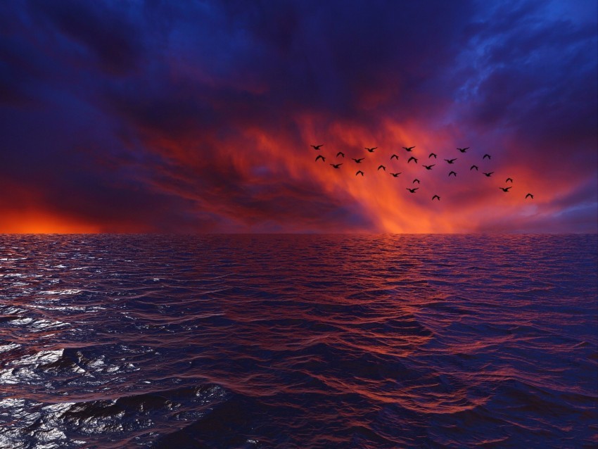 waves sky birds horizon sunset sea clouds flock PNG Image with Isolated Element