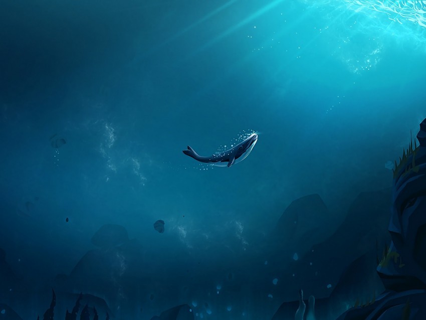 whale ocean underwater world air bubbles bottom rays of light Transparent PNG graphics variety