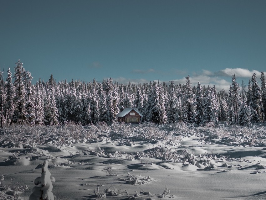 winter house snow trees horizon sky PNG images for mockups