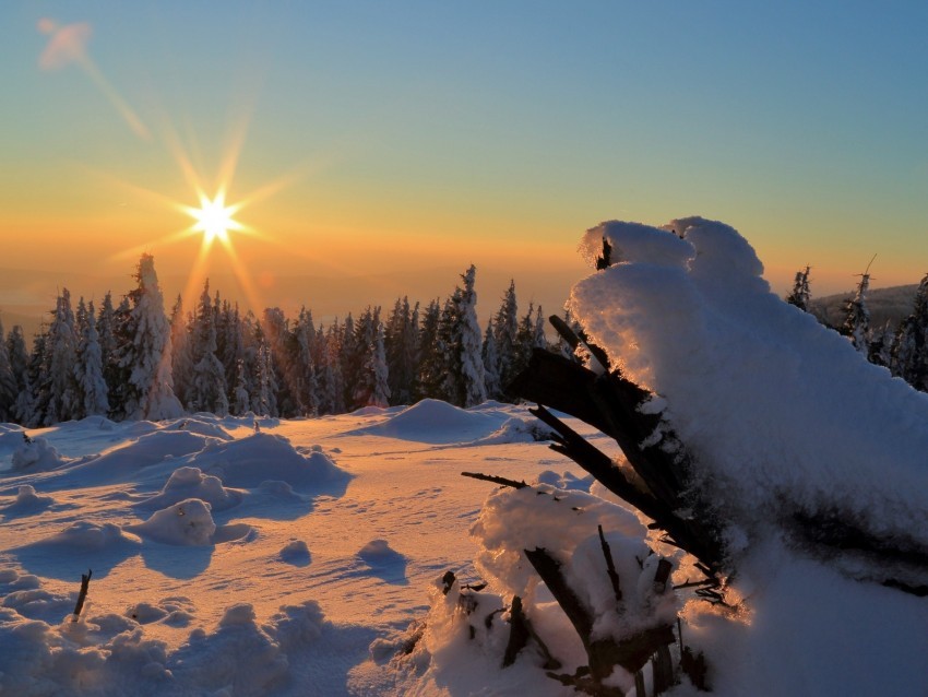winter snow sunset drifts trees Transparent PNG photos for projects