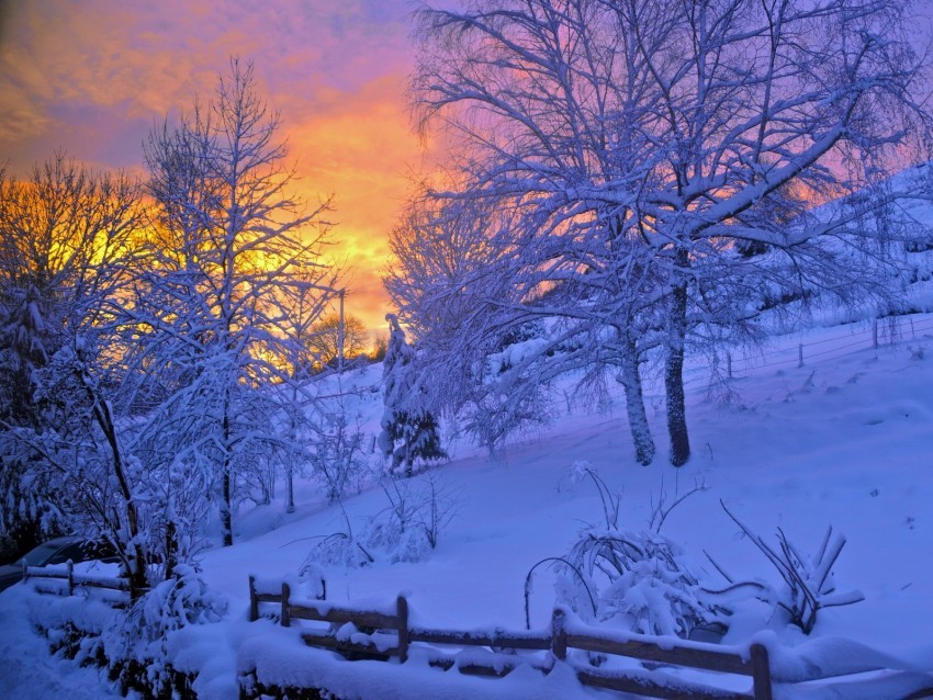winter snow sunset fence sky trees PNG clear images