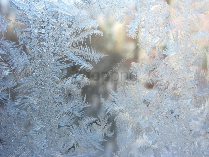 winter texture background Transparent PNG Isolated Item with Detail