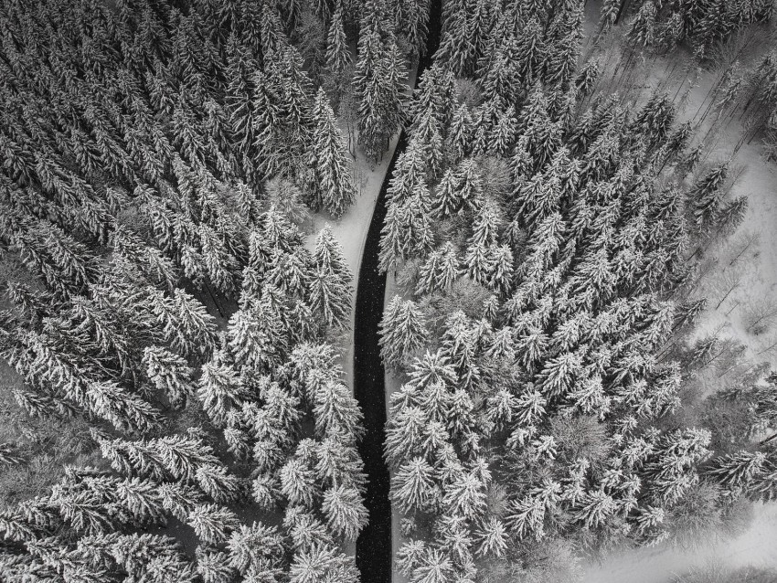 winter trees aerial view snow road PNG transparent photos library 4k wallpaper