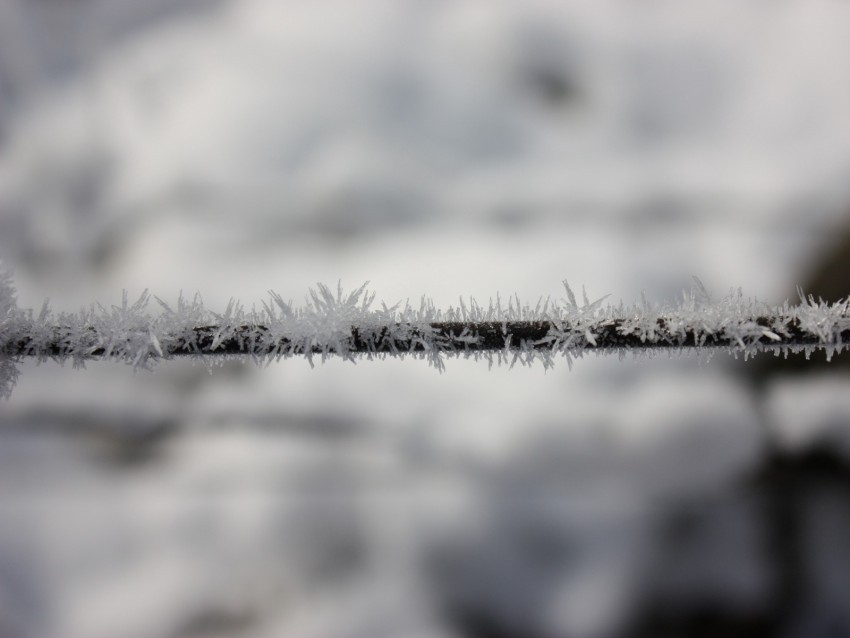 wire hoarfrost frost crystals metallic freeze macro PNG Image Isolated with Transparent Detail