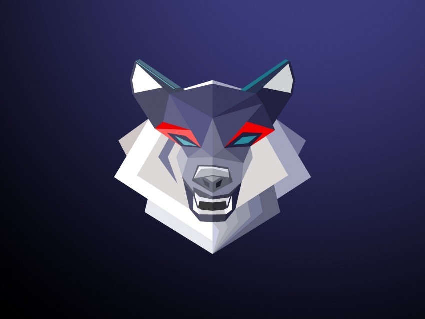 wolf grin art geometric minimalism Transparent pics 4k wallpaper