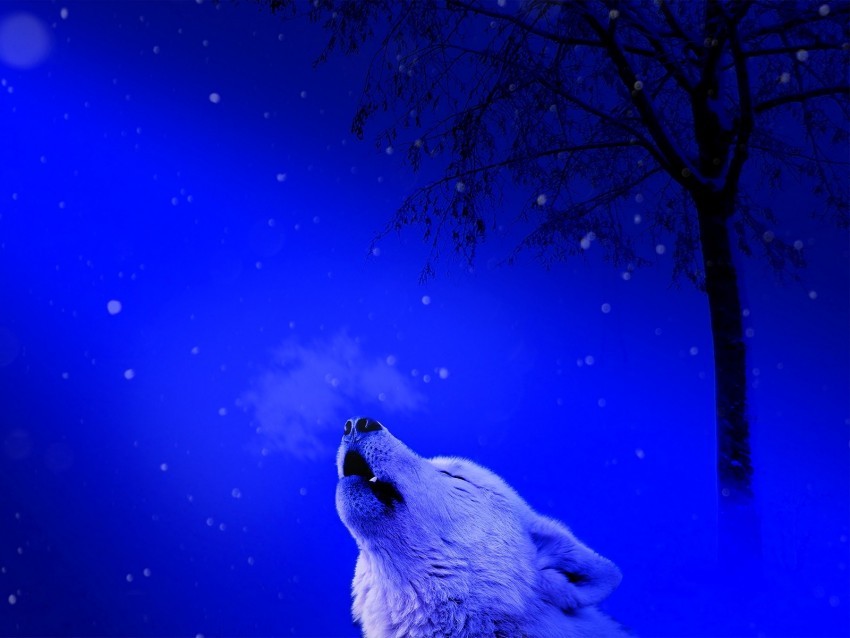 wolf howl loneliness predator PNG files with no background assortment